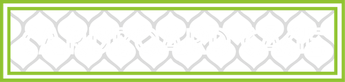 Cardboard Cage